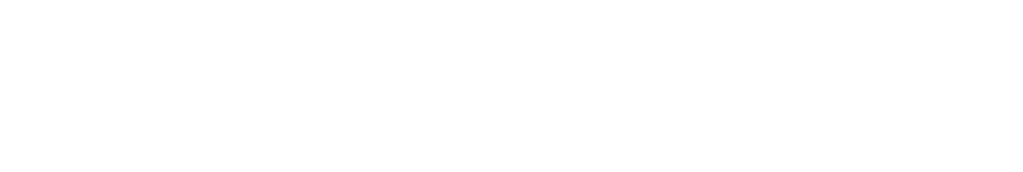 Sanlam Allianz Investments Limited Logo